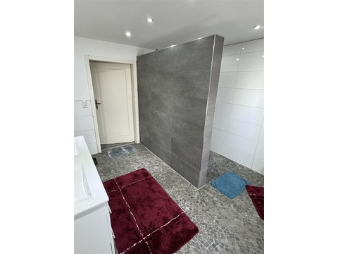 Neuwertiges Tageslichtbad_3