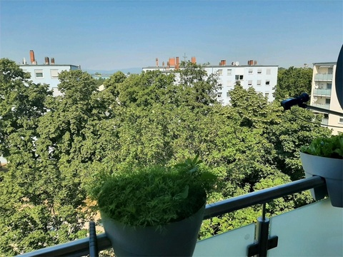 Ausblick