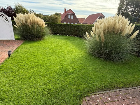 Gepflegter Garten