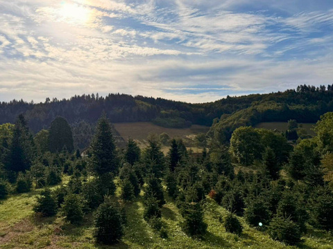 Aussicht - Sackgassenlage