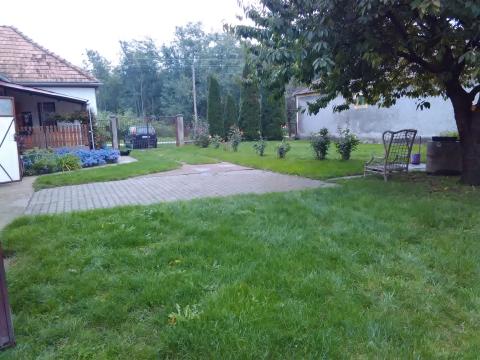 Bild...