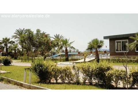 Voll möbliertes Duplex Penthaus gleich am Strand mit Pool und fantastischem Meerblick