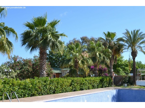Voll möbliertes Duplex Penthaus gleich am Strand mit Pool und fantastischem Meerblick