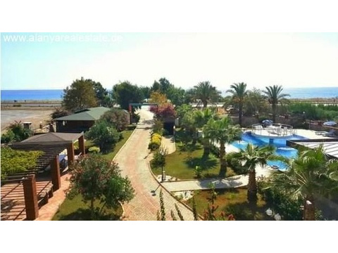 Voll möbliertes Duplex Penthaus gleich am Strand mit Pool und fantastischem Meerblick