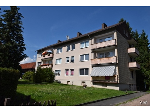 Mehrfamilienhaus kaufen in Walkenried, 1.753 m² Grundstück, 535 m² Wohnfläche, 25 Zimmer