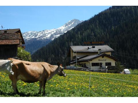 Hotel kaufen in Splügen, 1.464 m² Gastrofläche