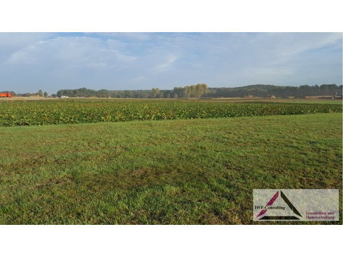 Gewerbegrundstück kaufen in Wassenberg, 6.000 m² Grundstück