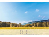 Land Forstwirschaft kaufen in Bünde, 35.000 m² Grundstück