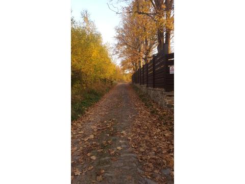 Bild...
