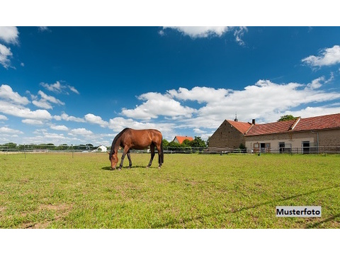 Einfamilienhaus kaufen in Klixbüll, 28.531 m² Grundstück, 166 m² Wohnfläche, 3 Zimmer