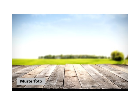 Land Forstwirschaft kaufen in Gaggenau, 569 m² Grundstück