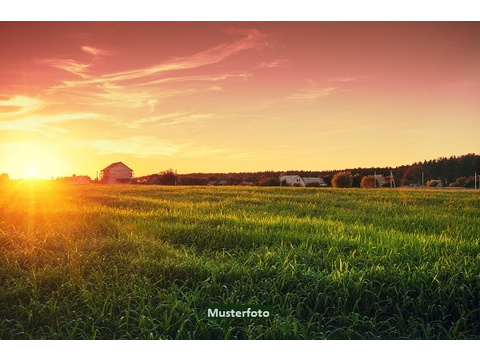 Land Forstwirschaft kaufen in Kirchberg (Hunsrück), 5.967 m² Grundstück