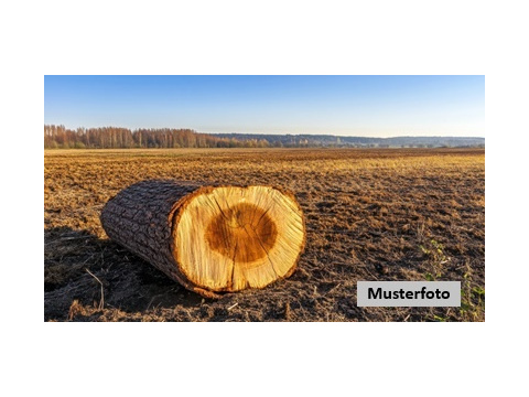 Land Forstwirschaft kaufen in Gemünden am Main, 4.430 m² Grundstück