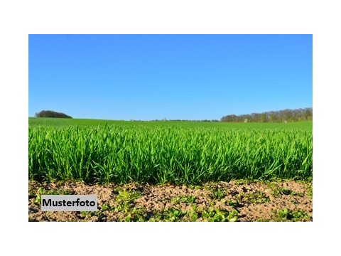 Land Forstwirschaft kaufen in Niederviehbach, 1.429 m² Grundstück
