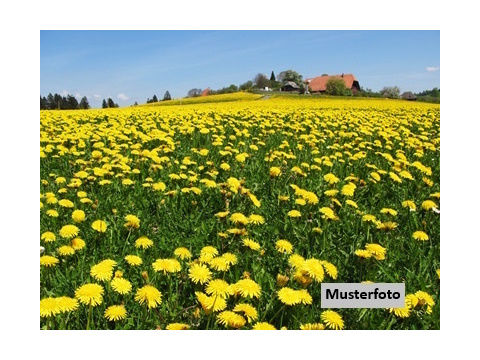 Land Forstwirschaft kaufen in Anger, 7.140 m² Grundstück