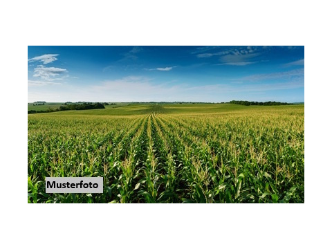 Land Forstwirschaft kaufen in Wittmund, 36.522 m² Grundstück