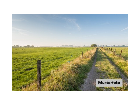 Land Forstwirschaft kaufen in Emmerthal, 281 m² Grundstück