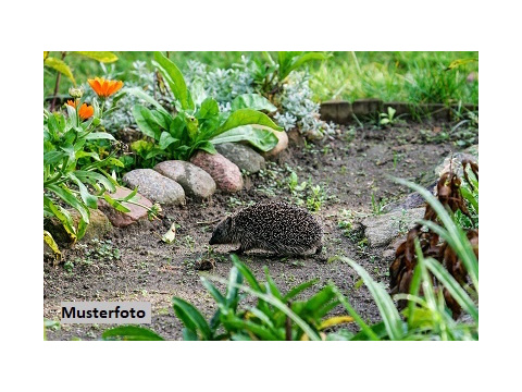 Land Forstwirschaft kaufen in Esslingen am Neckar, 1.045 m² Grundstück
