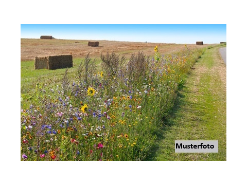 Land Forstwirschaft kaufen in Reichenbach, Oberpfalz, 5.679 m² Grundstück