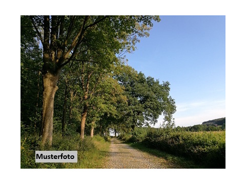 Land Forstwirschaft kaufen in Reichenbach, Oberpfalz, 41.086 m² Grundstück