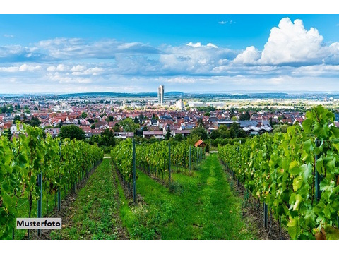 Gemischtes Grundstück kaufen in Sprendlingen, 921 m² Grundstück