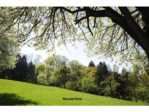 Land Forstwirschaft kaufen in Neumagen-Dhron, 6.397 m² Grundstück