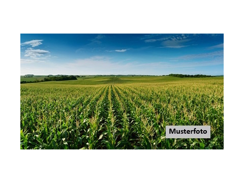 Land Forstwirschaft kaufen in Südharz, 3.719 m² Grundstück