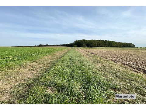Land Forstwirschaft kaufen in Südharz, 3.719 m² Grundstück