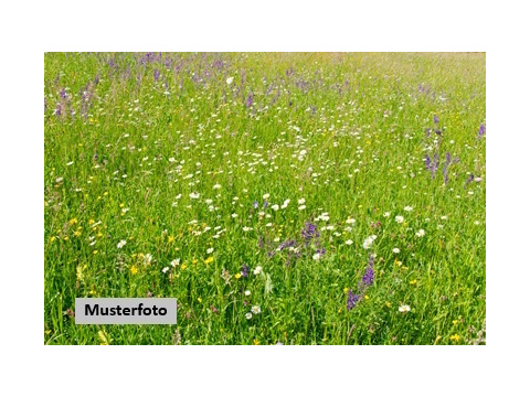 Land Forstwirschaft kaufen in Blankenheim, 52.826 m² Grundstück