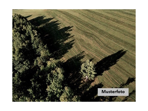 Land Forstwirschaft kaufen in Frankenberg/Eder, 3.191 m² Grundstück