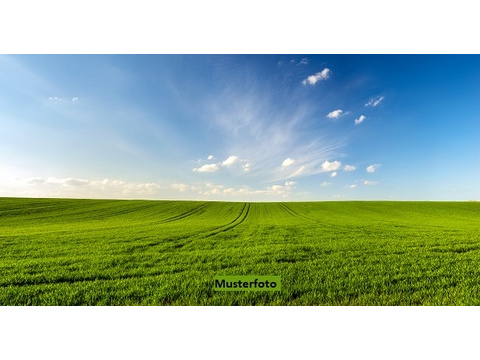 Land Forstwirschaft kaufen in Bornheim, 14.600 m² Grundstück