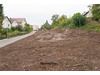 Land Forstwirschaft kaufen in Trier, 9.621 m² Grundstück