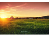 Land Forstwirschaft kaufen in Forst (Lausitz), 34.187 m² Grundstück