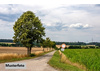 Land Forstwirschaft kaufen in Wachtberg, 6.770 m² Grundstück