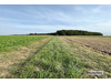 Land Forstwirschaft kaufen in Ehringshausen, 446 m² Grundstück