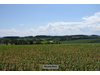 Land Forstwirschaft kaufen in Niederviehbach, 10.611 m² Grundstück