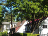 Zweifamilienhaus kaufen in Essen, 618 m² Grundstück, 114 m² Wohnfläche, 1 Zimmer