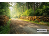 Land Forstwirschaft kaufen in Nordhausen, 34.111 m² Grundstück