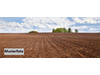 Land Forstwirschaft kaufen in Aschaffenburg, 7.352 m² Grundstück