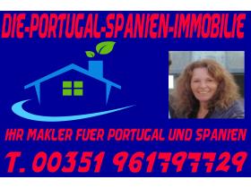Die-Portugal-Spanien-Immobilie in Montalegre, Portugal