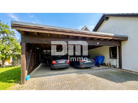 3x Carport