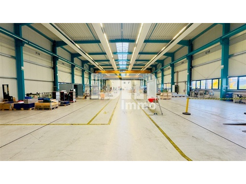 Halle Ansicht 4