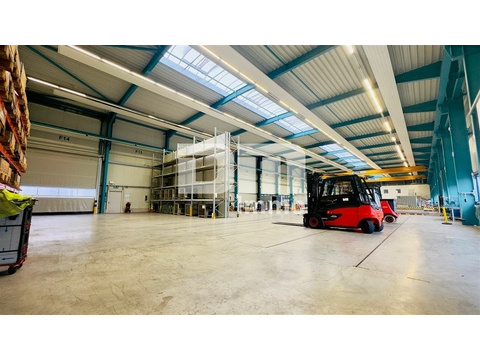 Halle Ansicht 3 / Rolltor + Folientor 5x5 m