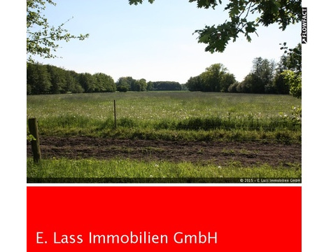 Land Forstwirschaft kaufen in Greven, 48.419 m² Grundstück