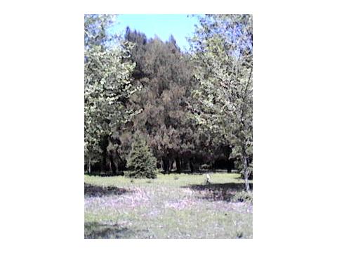 Bild...
