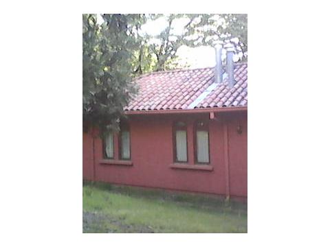 Bild...