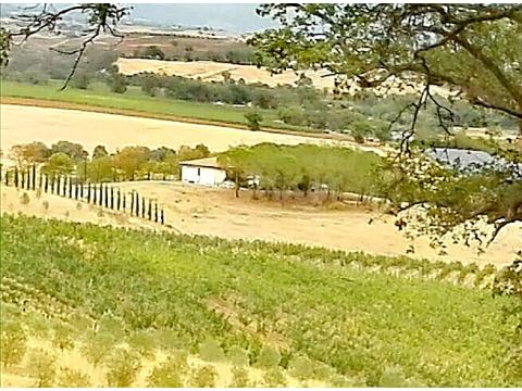 Einfamilienhaus kaufen in Magliano In Toscana, 30.000 m² Grundstück, 270 m² Wohnfläche, 6 Zimmer