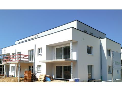 Bild...
