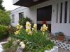 Bungalow kaufen in Saarbrücken, mit Garage, mit Stellplatz, 938 m² Grundstück, 400 m² Wohnfläche, 8 Zimmer