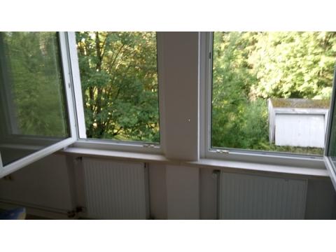 Loft, Studio, Atelier mieten in Holzminden, 45 m² Wohnfläche, 2 Zimmer